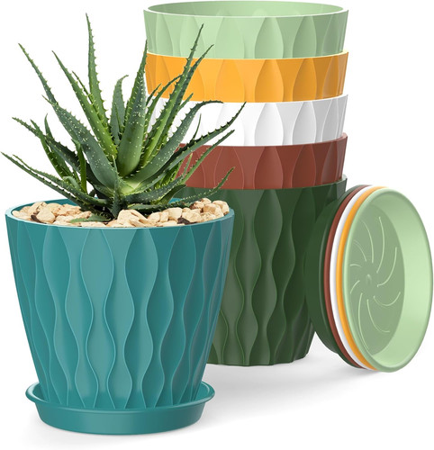 Inch plant pots - 4,
