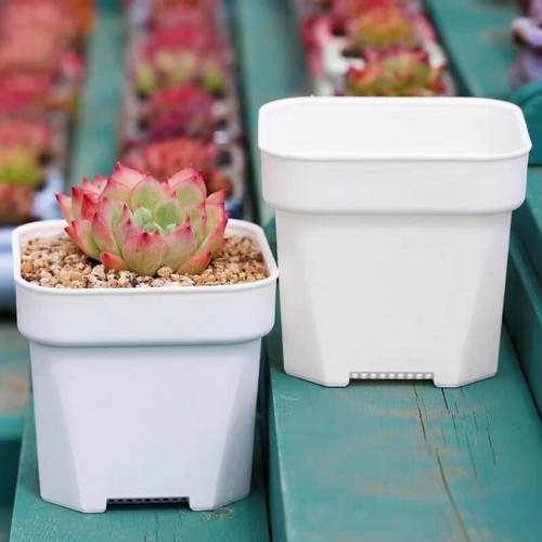White square plastic - 4",